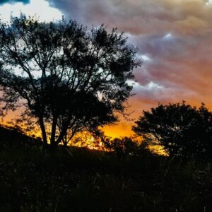 Savanne bei Sonnenuntergang nahe dem Daan Viljoen Nature Reserve, Windhoek (Symbolbild)
