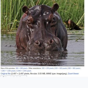 Flusslodges im Kavango