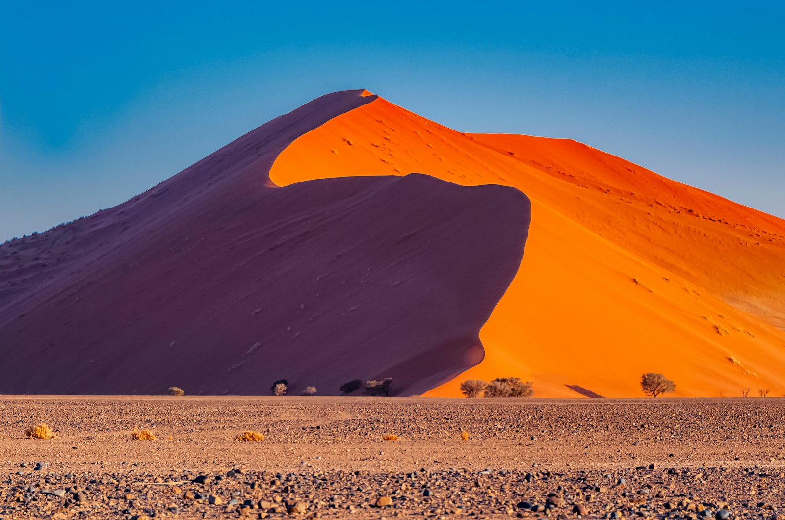 Rote Sanddüne am Sossusvlei, Namib, Namibia