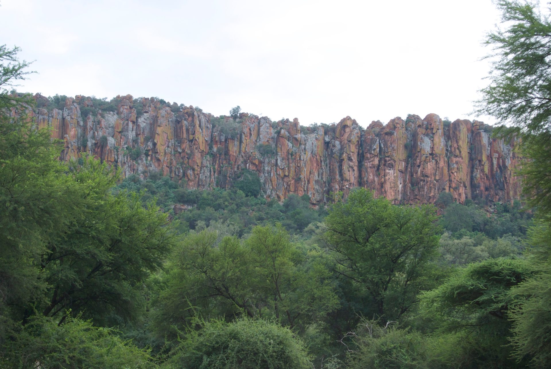 Waterberg-Plateau bei Otjiwarongo (Symbolbild)