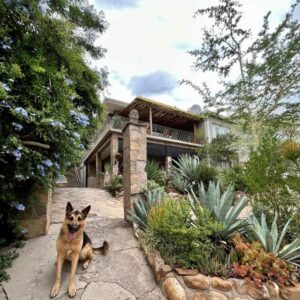 Bryan's View Windhoek: Haus von außen