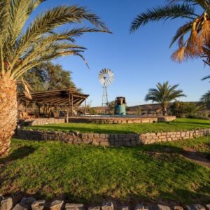 Canyon Roadhouse Campsite: Campingplatz mit Palmen