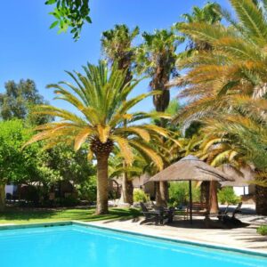 Central Hotel Omaruru: Swimmingpool und Palmen