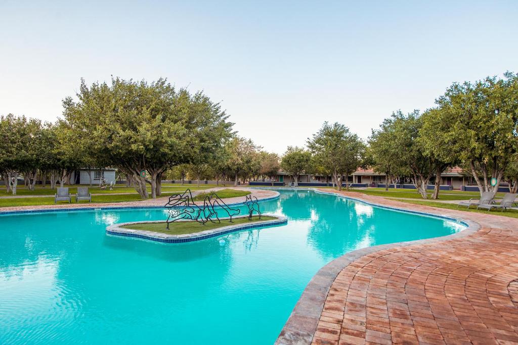 Damara Mopane Lodge: Swimmingpool im Lodgegarten