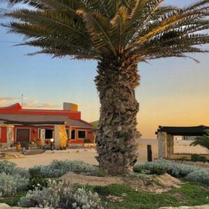 Desert Breeze Lodge Swakopmund: Lodge-Gebäude mit Palme