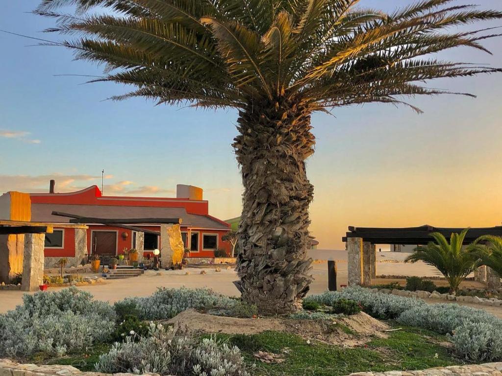 Desert Breeze Lodge Swakopmund: Lodge-Gebäude mit Palme