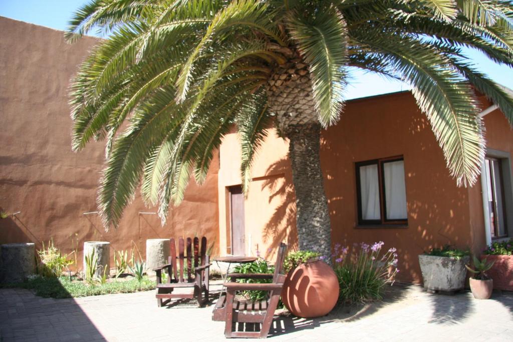 Dunedin Star Guesthouse Swakopmund: Palme und Gartenbänke