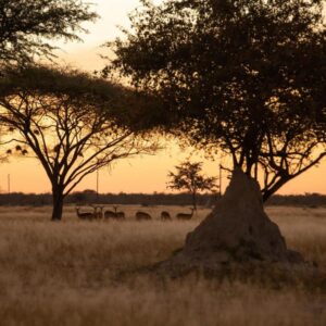Fiume Lodge, Unterkunft bei Grootfontein
