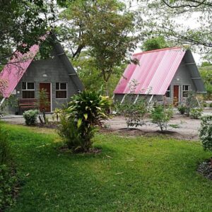 Happy Forest B and B: Haus und Garten