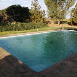 Hippo Farm Apartment: Swimmingpool im Garten