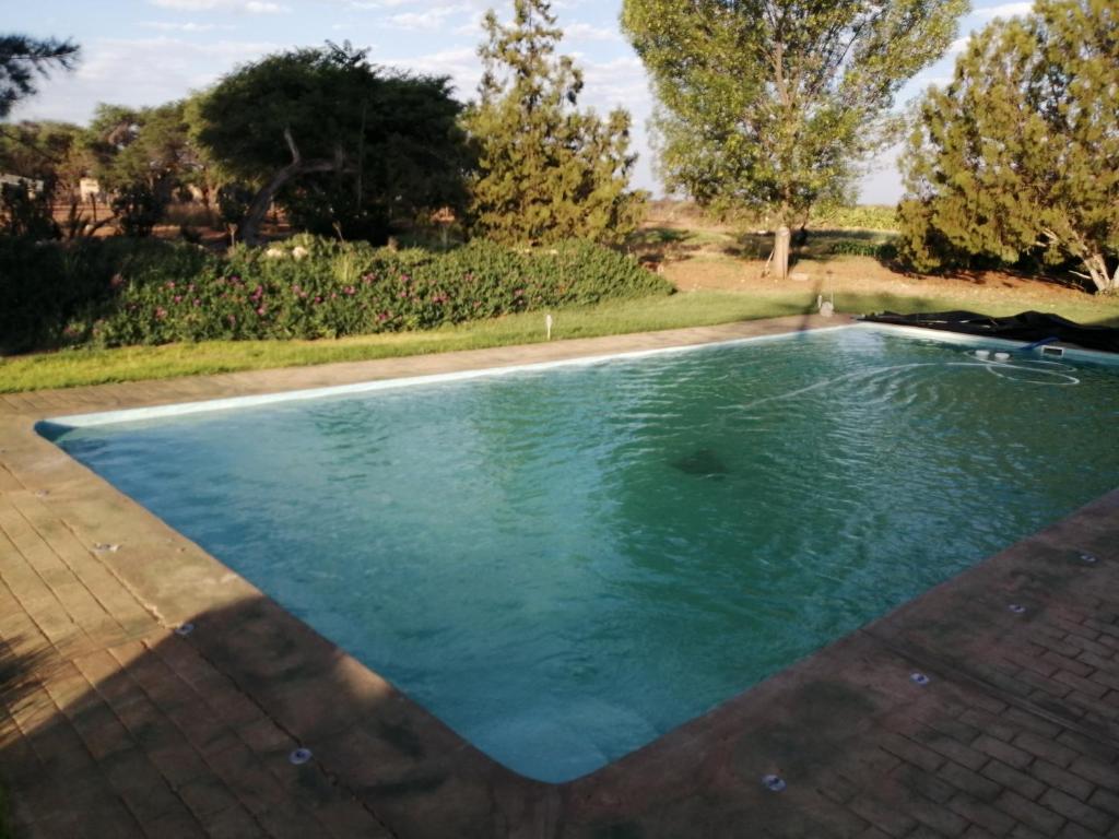 Hippo Farm Apartment: Swimmingpool im Garten