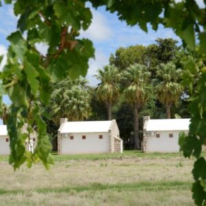 Kalahari Farmhouse Campsite: Campingeinheiten zwischen Palmen