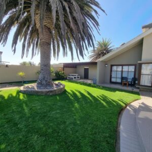 Kramersdorf Guesthouse Swakopmund: Palme im Garten der Pension