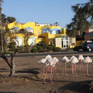 Lagoon Lodge Walvis Bay