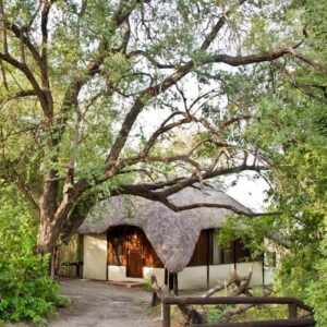 Lianshulu Bush Lodge: strohgedecktes Lodgegebäude unter Bäumen