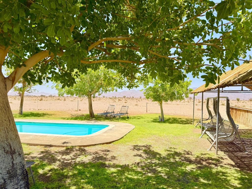 Little Sossus Campsite: Swimmingpool auf dem Campingplatz
