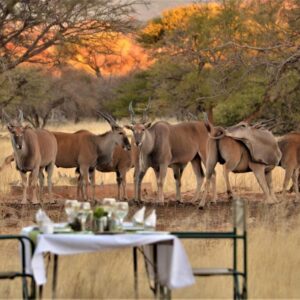 Ohange Namibia Lodge, Unterkunft bei Otavi