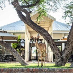 Otjibamba Lodge, Unterkunft in der Region Waterberg und Otjozondjupa