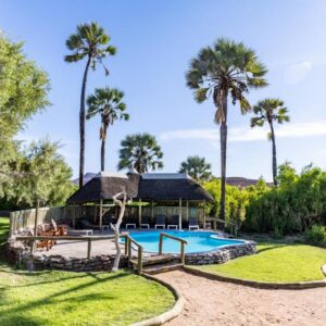 Palmwag Lodge: Swimmingpool und Palmen