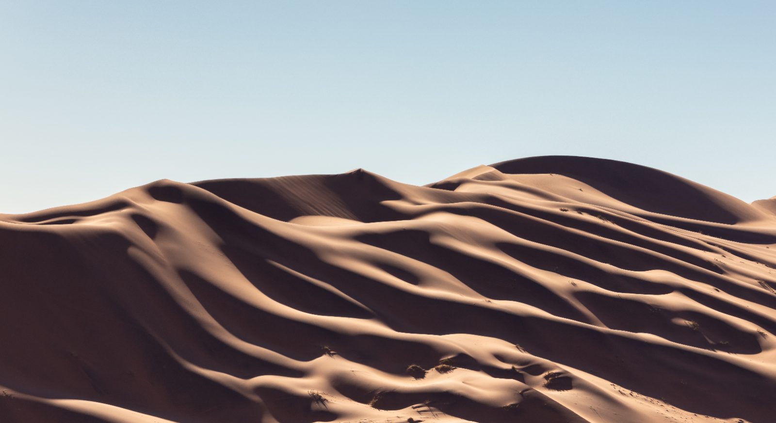 Rote Dünen nahe dem Sossusvlei, Namib (Symbolbild)