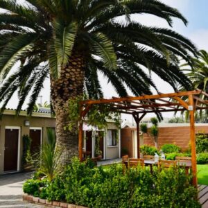 The Mole Guesthouse Swakopmund: Hausfront mit Palme