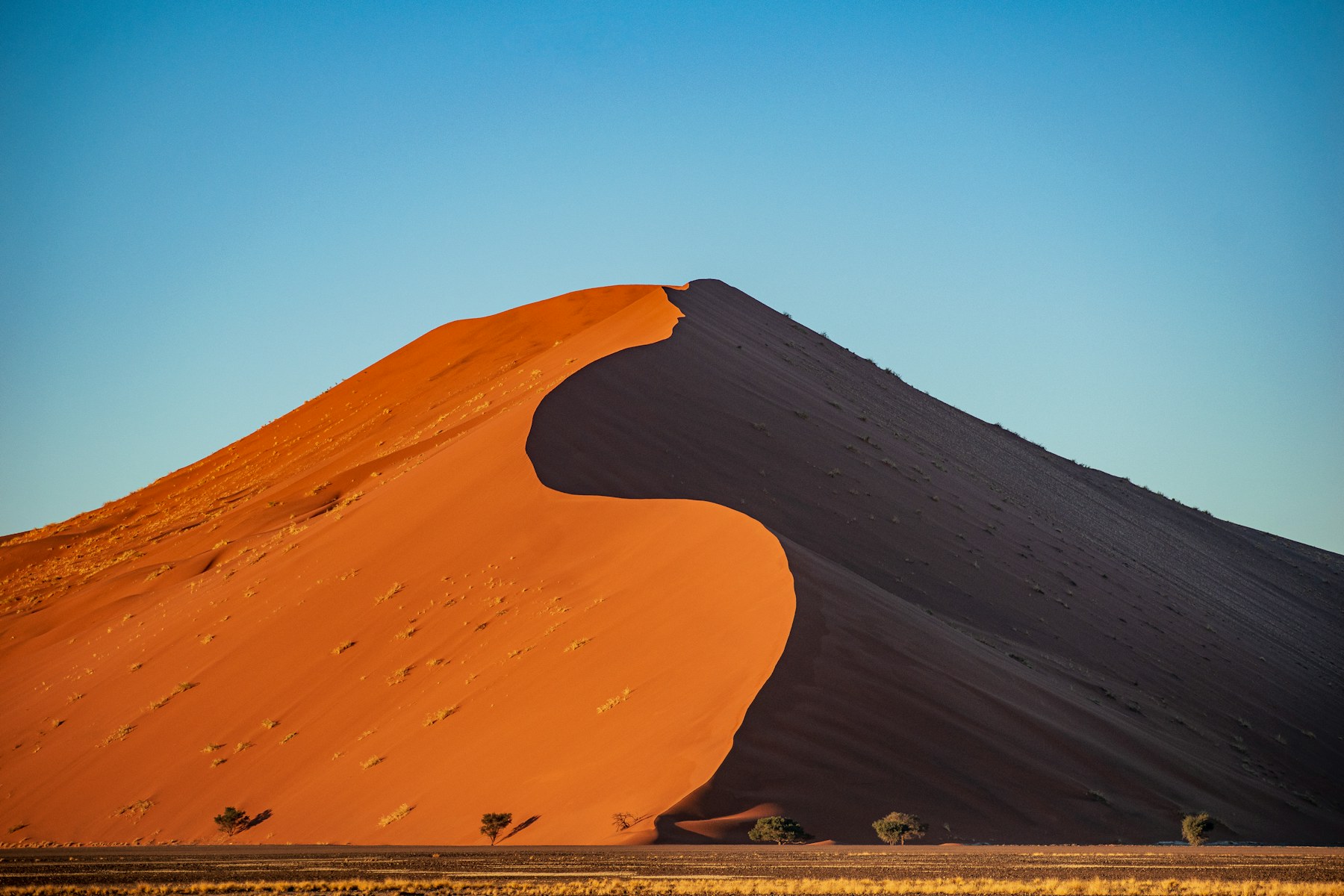 Hohe Dünen der Namib nahe Sesriem Gate und Camp