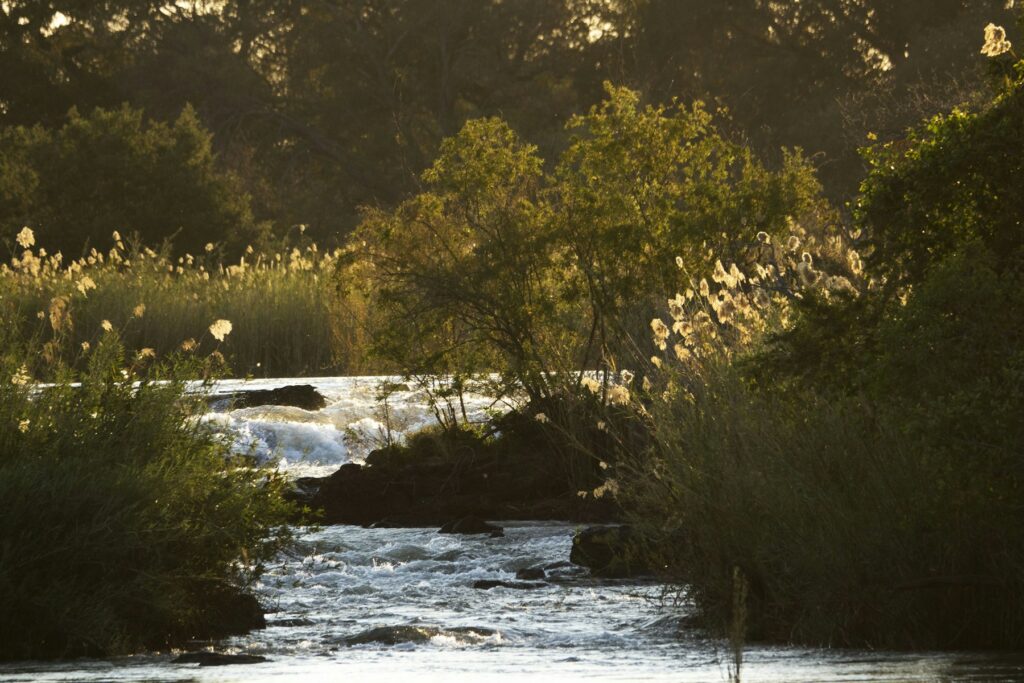 Sonnige Flusslandschaft bei Rundu im Nordosten Namibias