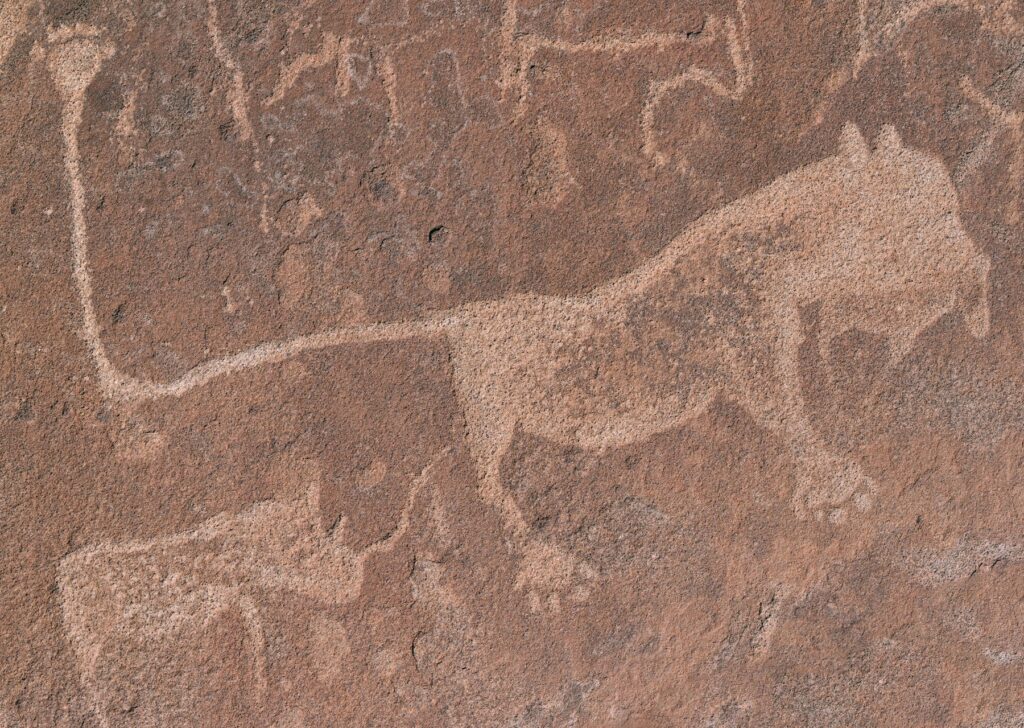 Alte Tiergravuren – Felskunst in Namibia