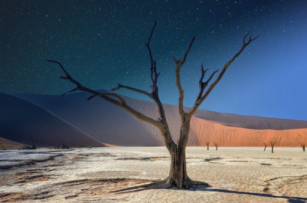 Sternenhimmel über der dunklen Wüste Namibias