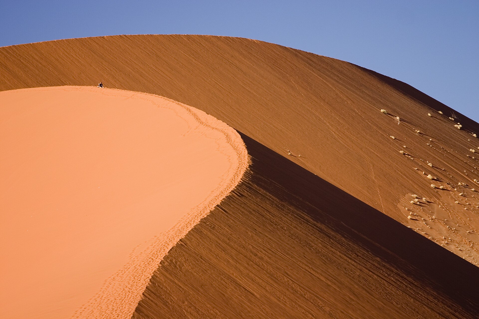 Dünen der Namib im Sommer
