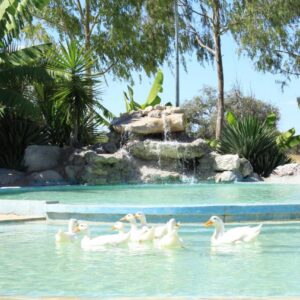 Bambi Lodge Grootfontein