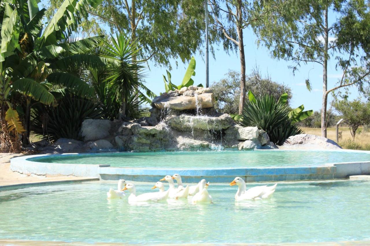 Bambi Lodge Grootfontein