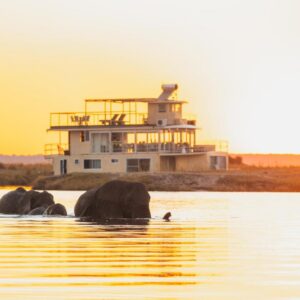 Chobe Princess by Mantis