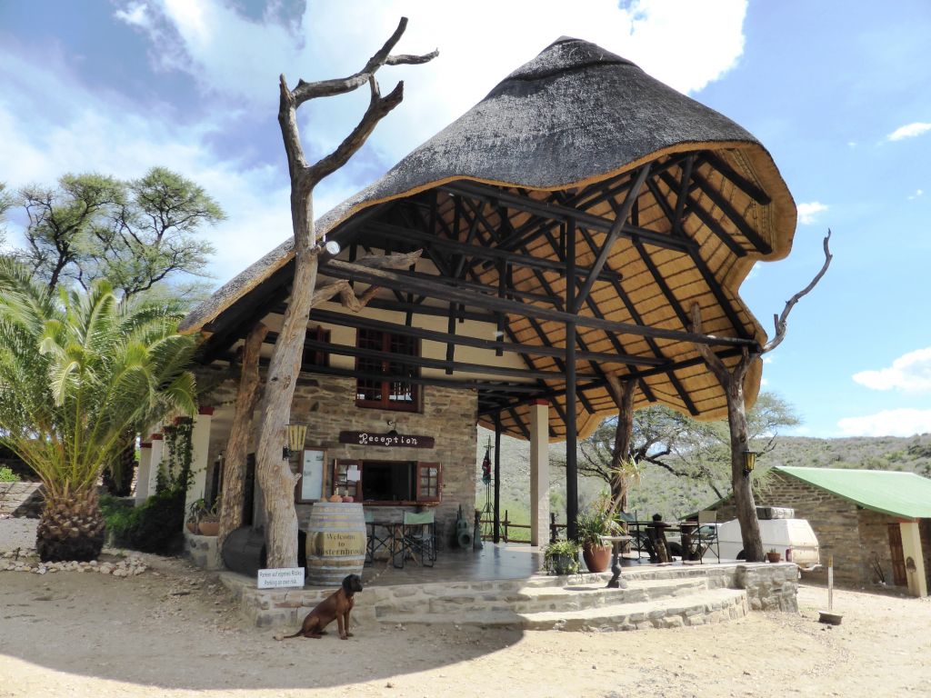 Düsternbrook Guest Farm