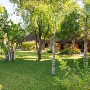 Lion Den Guesthouse Otjiwarongo
