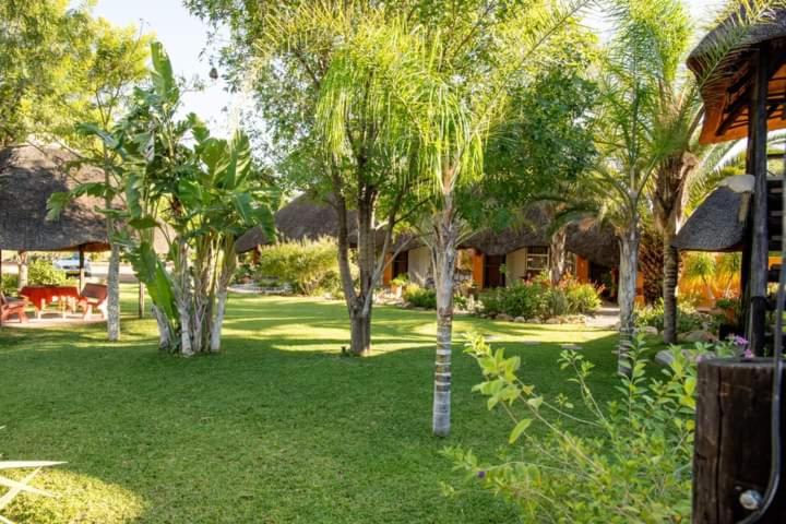 Lion Den Guesthouse Otjiwarongo