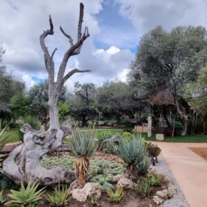 Olienhoff Guest House and Safaris CC Otavi