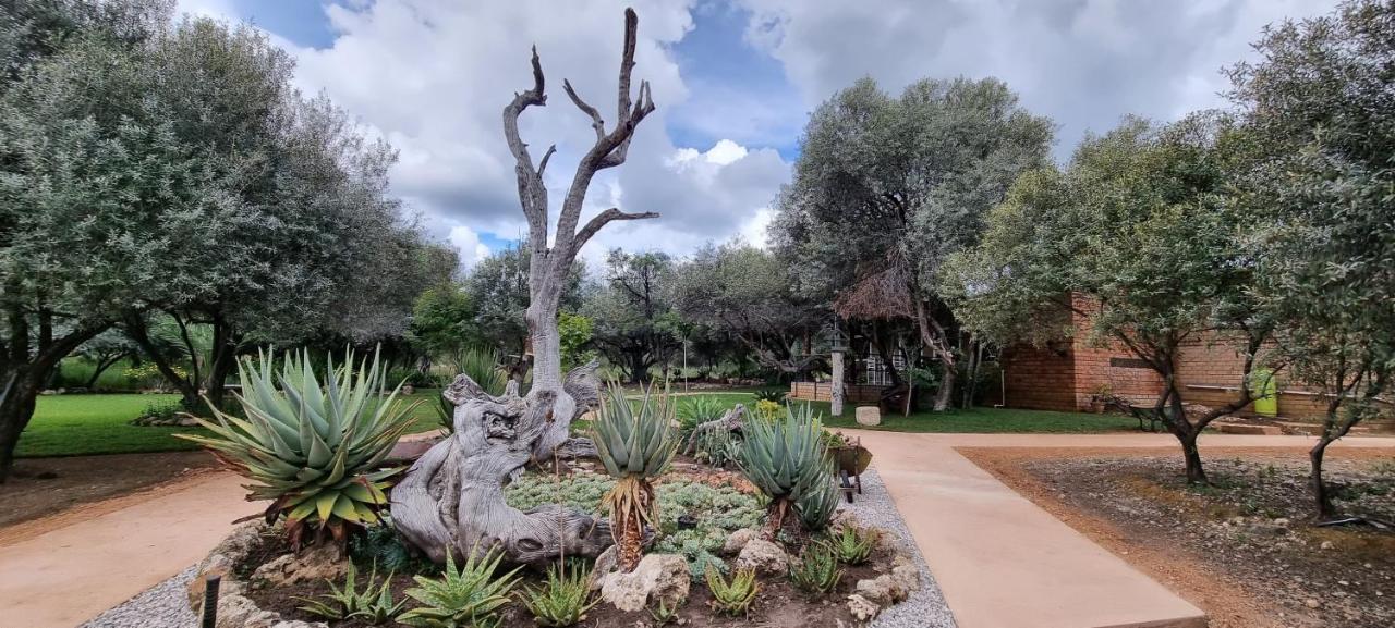 Olienhoff Guest House and Safaris CC Otavi
