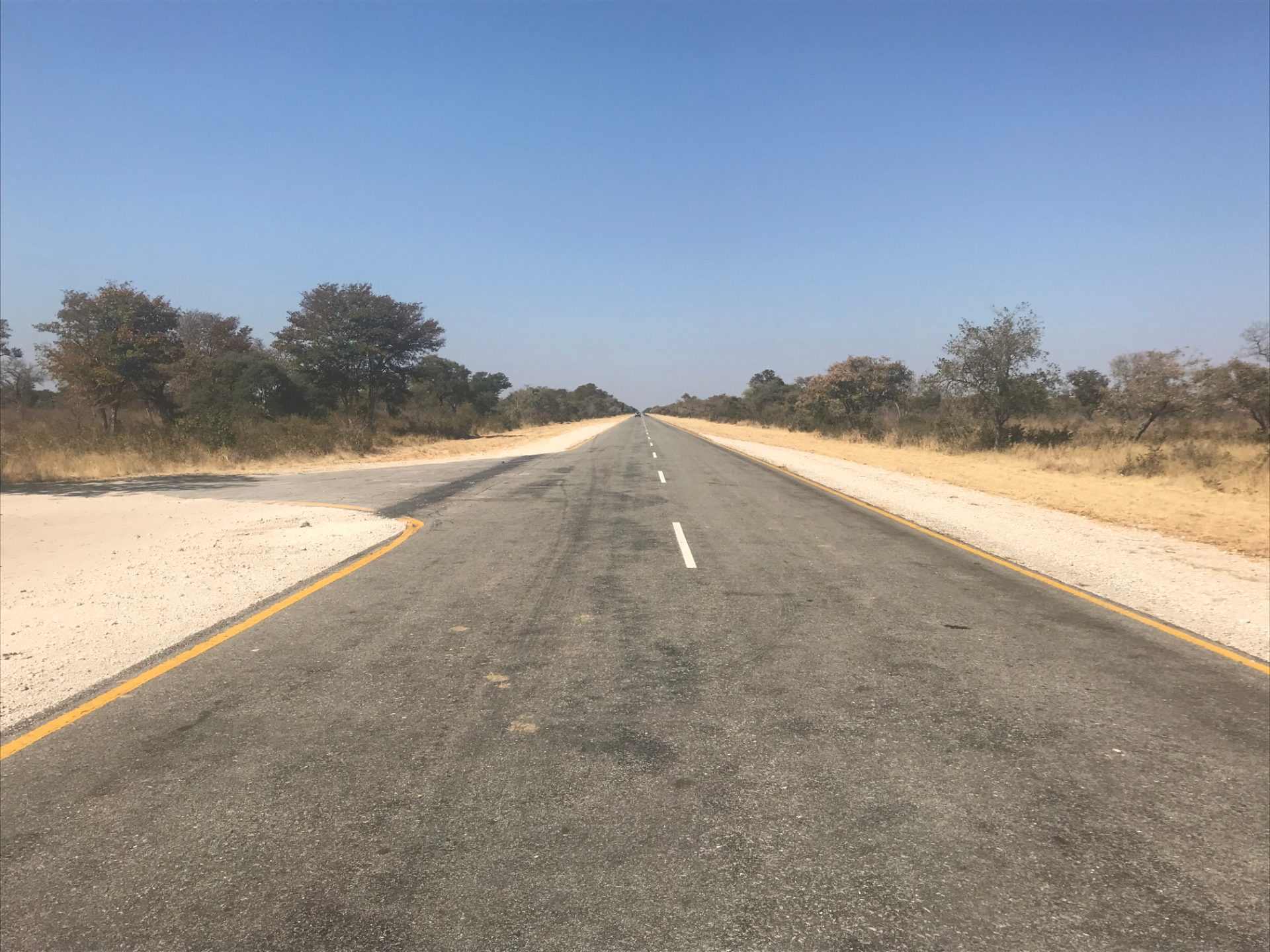 Die B8 (Trans-Caprivi-Highway) durch Waldland im Bwabwata-Nationalpark zwischen Divundu und Kongola, Namibia