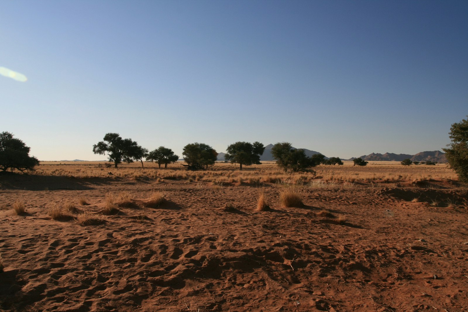 Savannenlandschaft in Namibia in der Trockenzeit