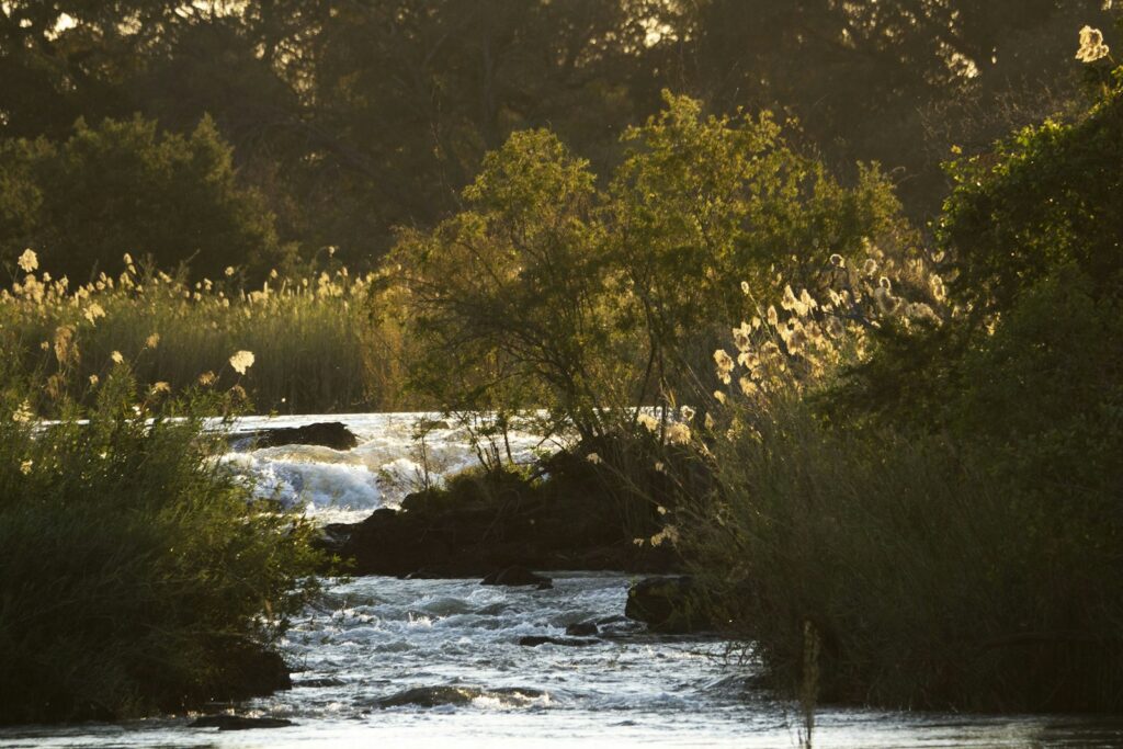 Stromschnellen des Kavango an den Popa-Fällen
