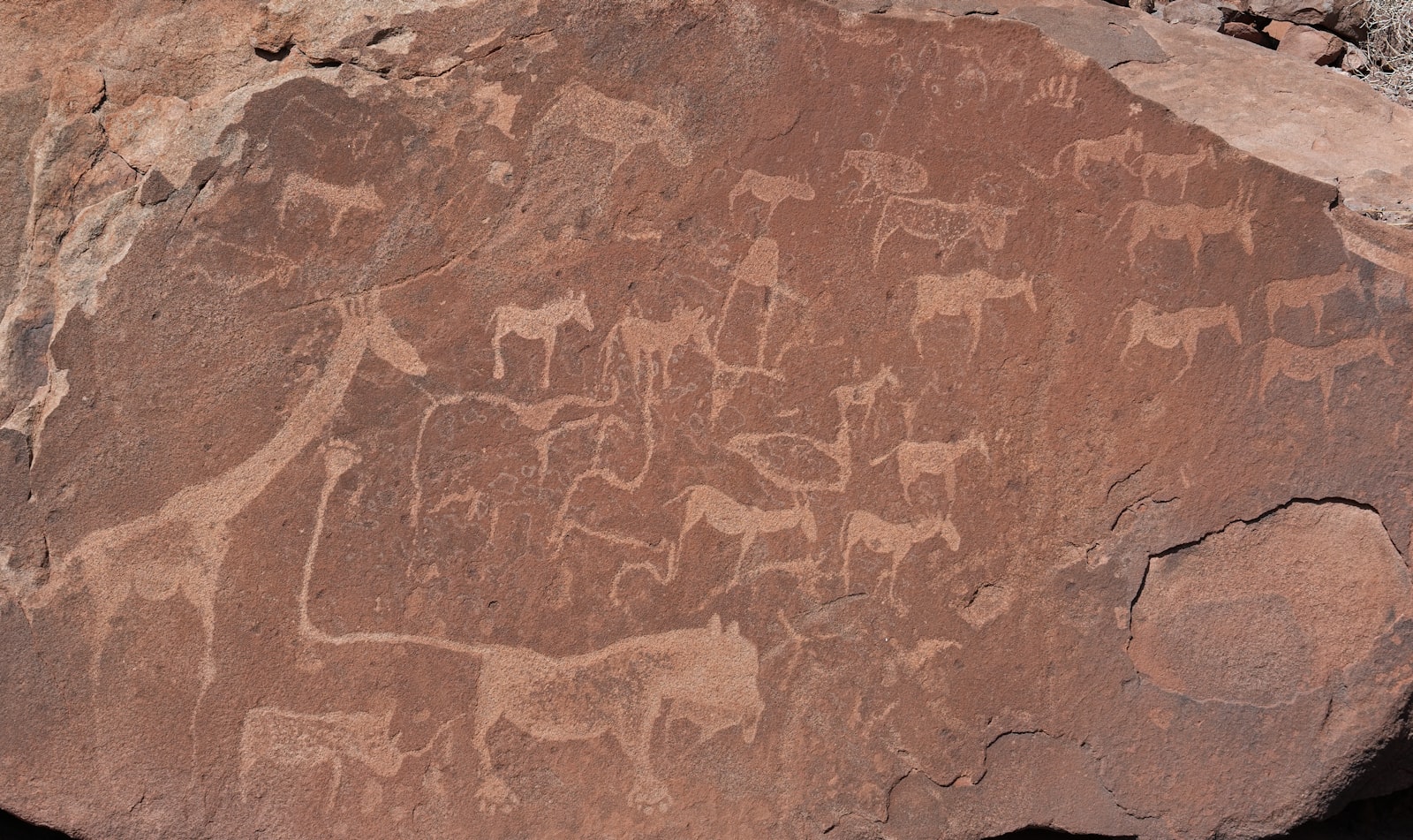 Felsgravuren in Twyfelfontein, Namibia