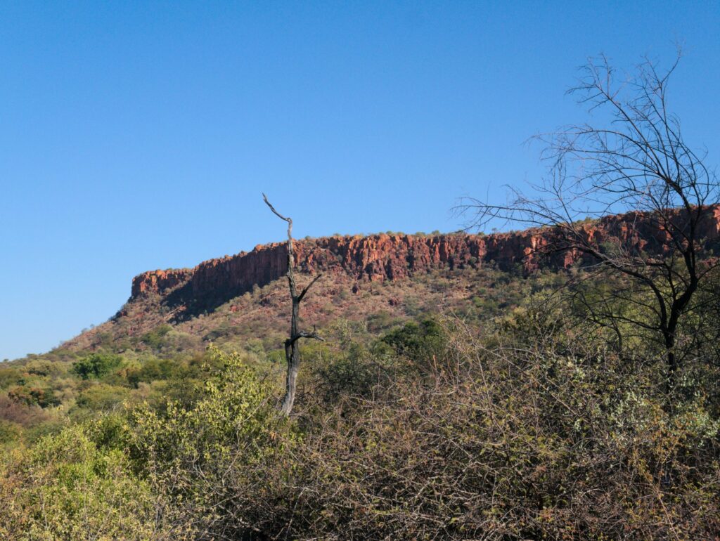 Rote Sandsteinwand des Waterberg-Plateaus