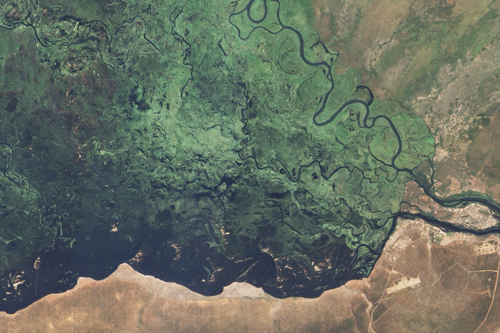 Der Sambesi in der Sambesi-Region, Namibia